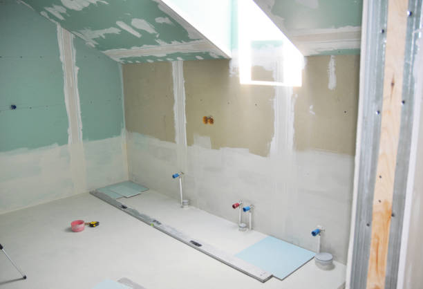Best Black Mold Removal  in Paw Paw, MI
