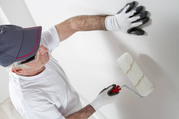 Environmental Consulting for Mold Prevention in Paw Paw, MI