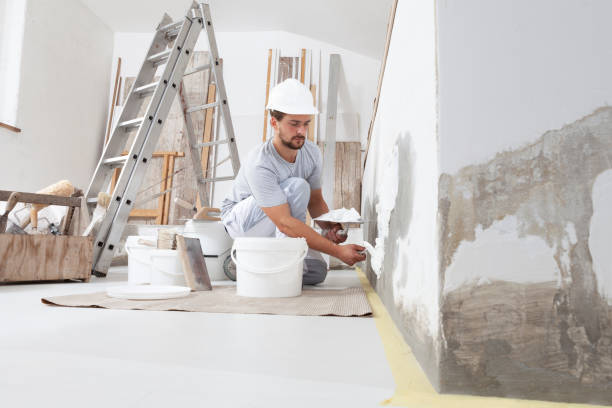 Professional Mold Removal in Paw Paw, MI