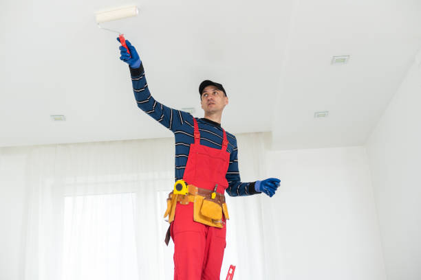 Best Forensic Mold Investigation  in Paw Paw, MI
