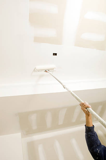  Paw Paw, MI Mold Removal Pros