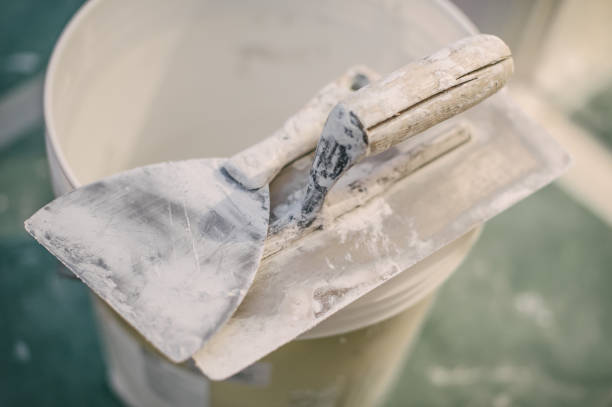 Best Air Quality Testing for Mold Spores  in Paw Paw, MI