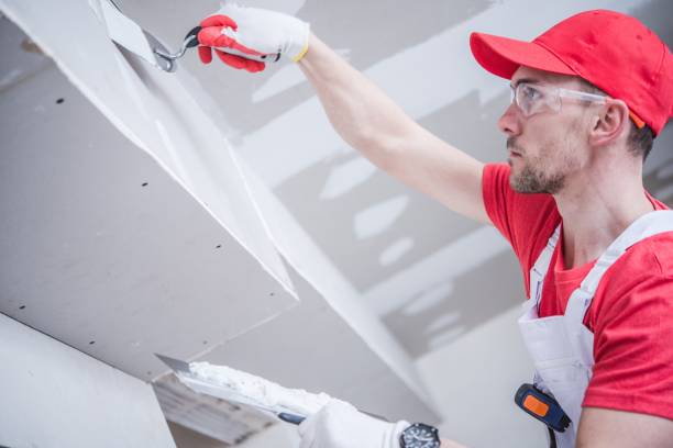 Best Mold Damage Restoration  in Paw Paw, MI